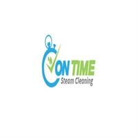  On Time  Steam Cleaning	